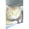 [V:476F]みんなの動物園[V:476F]