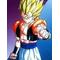 [D:F991]ドラゴンボール[D:F991]