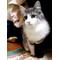 猫[D:F946]ﾉﾙｳｪｰｼﾞｬﾝの会